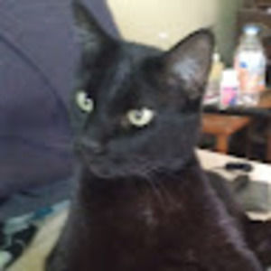 Meet your Posher, Raeann